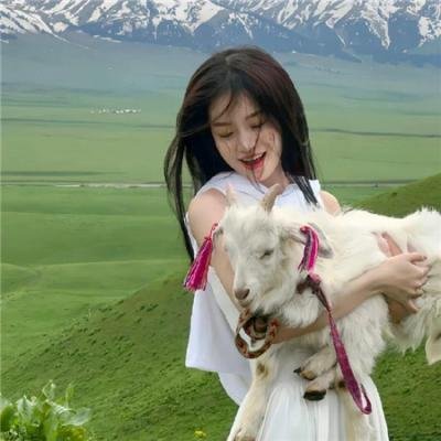我家的英雄
